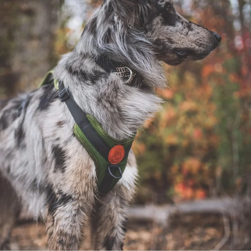 Wilderdog Dog Harness; Large; Olive; Like New Condition